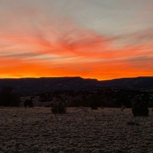 Meet your Posher, Marcus